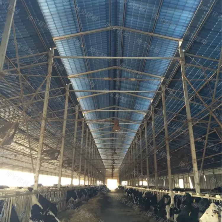 伊犁奶牛養殖場屋面防火防腐蝕使用秸稈瓦案例(圖5) 伊犁奶牛養殖場秸稈瓦案例