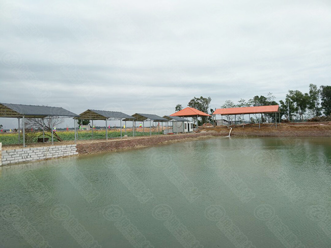 樹脂瓦休閑亭構建“歡樂魚塘”，垂釣烤魚忙不停！