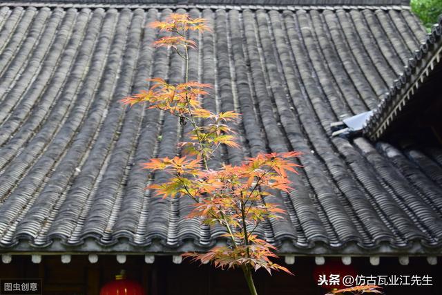 導讀：農村蓋房用樹脂瓦適合嗎？聽完行家的分析，恍然大悟