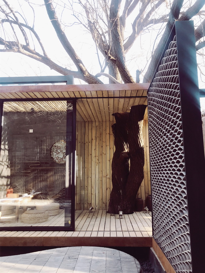 1550651350296026.jpg 調整大小 8_大樹與茶室的媾和-沈楨.jpg