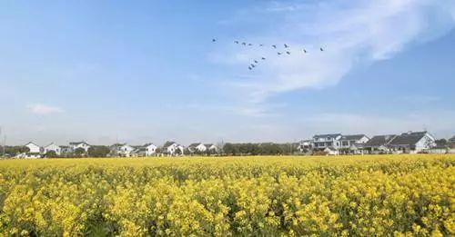 中國***美的鄉村景色，看看有你的家鄉嗎