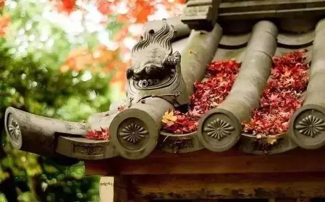 這樣的院子，只有中國人駕馭得了它！