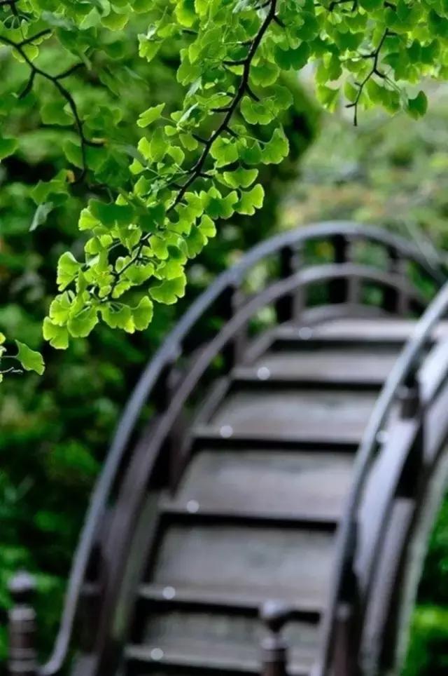 這樣的院子，只有中國人駕馭得了它！