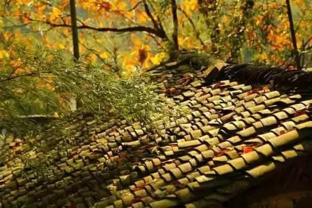 這樣的院子，只有中國人駕馭得了它！