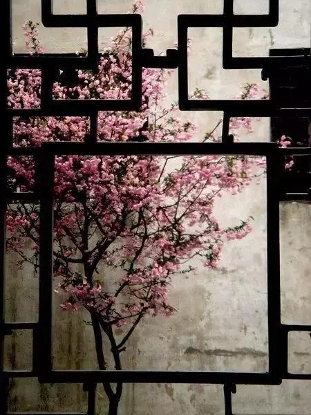 這樣的院子，只有中國人駕馭得了它！