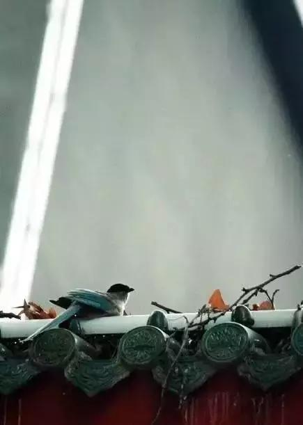 這樣的院子，只有中國人駕馭得了它！