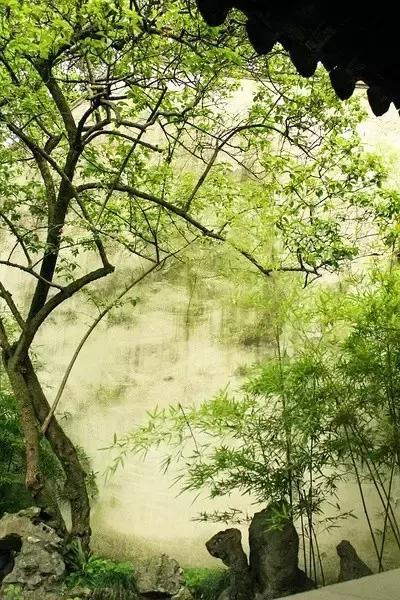 這樣的院子，只有中國人駕馭得了它！