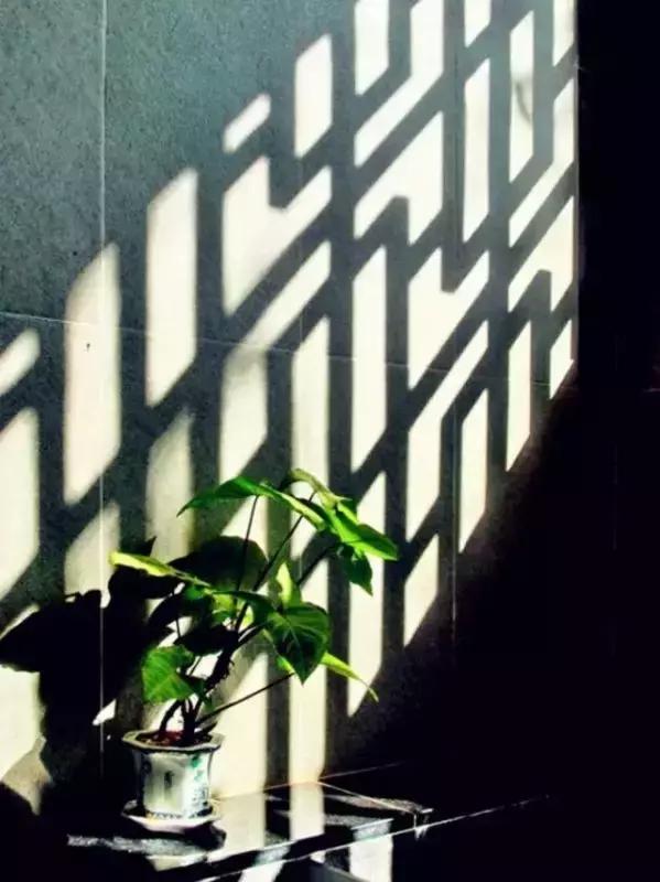 這樣的院子，只有中國人駕馭得了它！