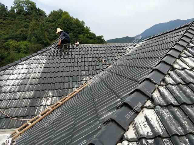 30元一平的樹脂瓦省錢又耐用？網友：吃飽沒事干，用一年就得換