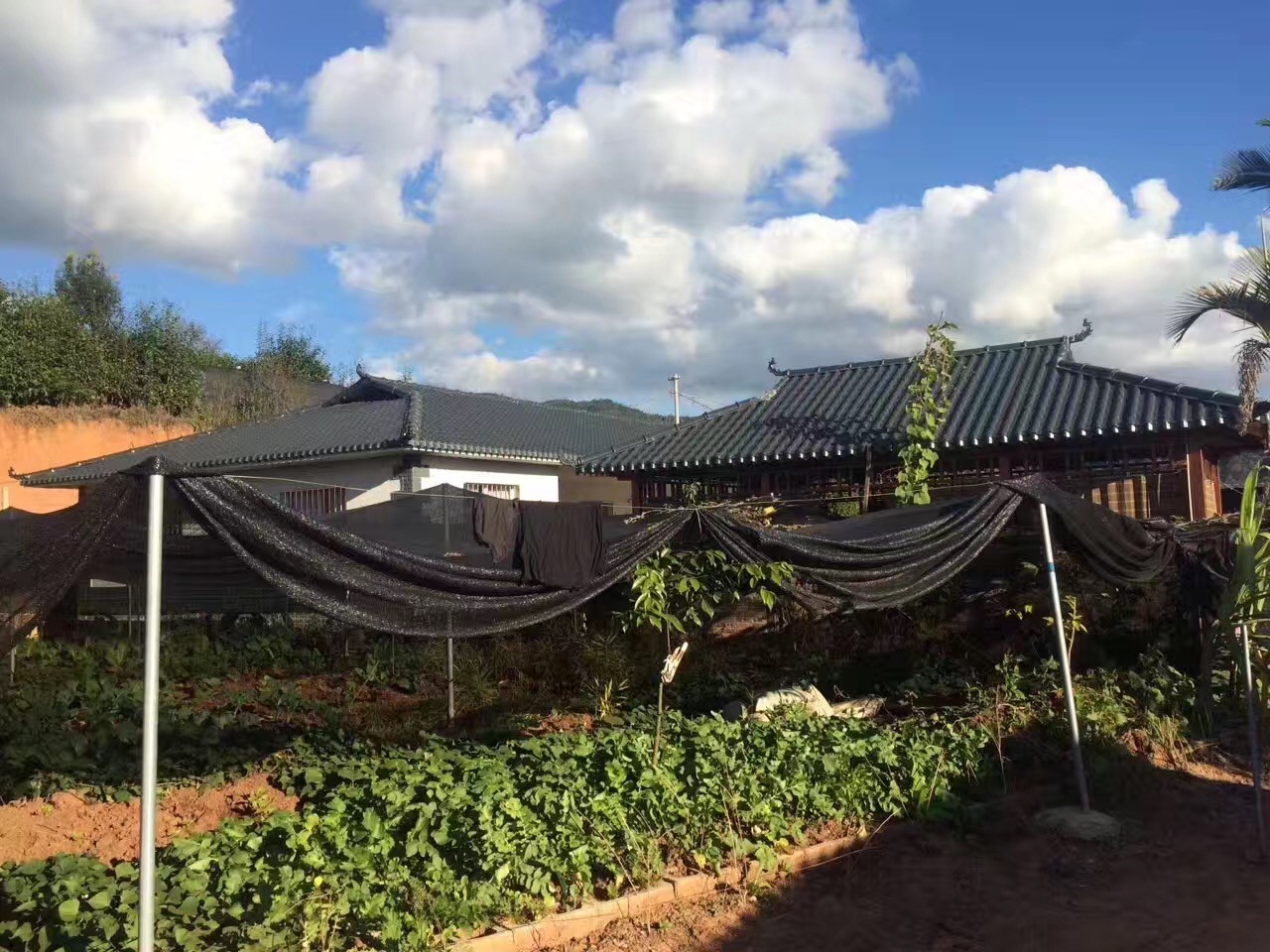 灰底樹脂瓦和白底樹脂瓦的區別有什么？價格差異為什么那么大？